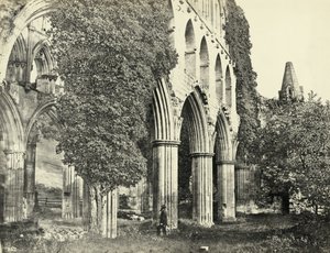 Rievaulx Abbey, North Yorkshire, Storbritannien (s/v foto) av Unbekannter Künstler