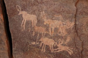 Stenkonst, förhistoria: Gravyr av en uppsättning antiloper och en hund (nedre till höger) i Uweinat-massivet, Egypten. (Period från 8000 till 3000 år f.Kr.). Fotografi av Unbekannt