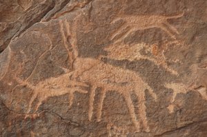 Stenkonst, förhistoria: Gravyr av en antilop attackerad av en flock hundar i Uweinat-massivet, Egypten (perioden från 8000 till 3000 år f.Kr.). Fotografi av Unbekannt