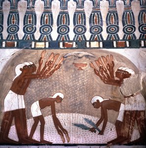 Scen för vetebrott, Nakhts grav, rummet för adelsgraven. Vallee des Nobles. Webbplats för Luxor, Egypten.