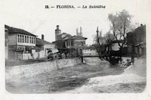 Serbien, Florina (nuvarande Grekland): utsikt över Sukulina - Vykort 1914-1918 av William M. Timlin