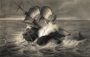Skeppsbrott av valfångstskeppet "Essex" den 20 november av Unbekannter Künstler