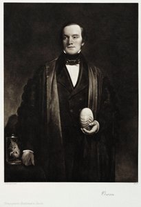 Sir Richard Owen, engelsk naturforskare och paleontolog, ca 1845 av Unbekannt