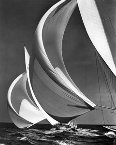 Spinakers On Racing Segelbåtar (s/v foto)