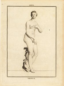 Staty av Venus, romersk gudinna av kärlek, skönhet, sex och fertilitet av Unbekannt