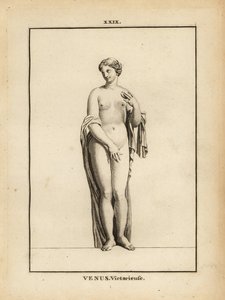 Staty av Venus Victrix, romersk gudinna av kärlek, skönhet, sex och fertilitet av Unbekannt