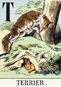 T : Terrier - Jaktalfabetet, ca 1890 (gravyr) av Unbekannt