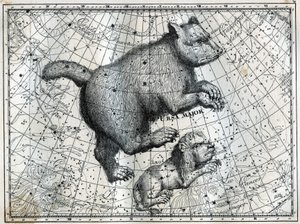 De boreala konstellationerna: den stora björnen och det lilla lejonet. Gravyr från Camille Flammarions "The Stars and Other Curiosities of the Sky" av Unbekannt