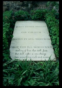 The Grave of Percy Bysshe Shelley (1792-1822) (s/v foto) av Unbekannt