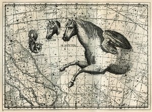 Stjärnbilden Pegase, ritar som anterieure halvan av en häst med ett par vingar, den lilla hästen, ett hästhuvud och delfinen. Gravyr från "Les étoiles et les autres curiosites du ciel" av Camille Flammarion av Unbekannt