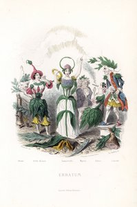 Blommans avgifter, olivens, sovande i en bomullsmössa, nattens skönhet, immortellen med en krona och en orm aureole, myrten i en gammal man, tobak som röker cigarren och lagern i en gammal musketör - Eau forte av Charles Geoffroy (181 av Unbekannter Künstler