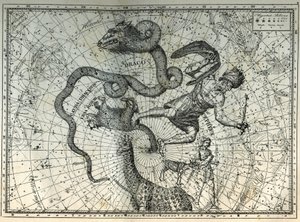 Nordpolens närliggande stjärnbilder: Little Bear, Dragon, Cephee, Giraffe, Rene och Messier. Gravyr från Camille Flammarions "The Stars and Other Curiosities of the Sky" av Unbekannt