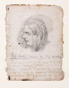 Thomas Henry Huxley, engelsk biolog, mitten av slutet av 1800-talet av Unbekannt
