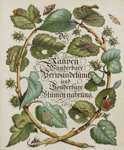 Titelseite aus einem Naturgeschichtsbuch von 