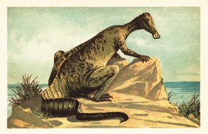 Trachodon mirabilis, utdöd hadrosaurad dinosaurie.1908 (litografi) av Unbekannter Künstler