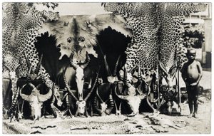 Troféer, ca 1910 (s/v foto) av Unbekannter Künstler