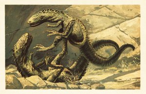 Två stridande Dryptosaurus aquilunguis.1908 (litografi) av Unbekannter Künstler
