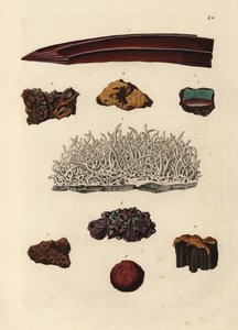 Olika sorters järnmalm. Handkolorerat kopparstick av efter en illustration av från Georg Wolfgang Knorr