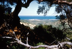Utsikt över Medelhavet, Kabylien, Algeriet av Unbekannter Künstler
