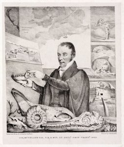 William Buckland, geolog av Unbekannt