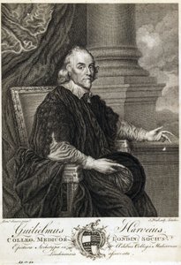 William Harvey, engelsk läkare av Unbekannt