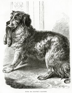 Med sin herres tofflor 1902 (litho) av Unbekannt