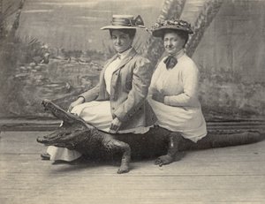 Kvinnor sitter på en uppstoppad alligator, ca 1905 (s/v foto) av Unbekannter Künstler