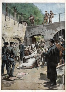 Zoo i Jardin des Plantes. Zoo på Jardin des Plantes. av Nicolas Liez