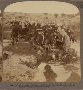 Vattning av artillerihästar, Welgelegen, Sydafrika av Underwood and Underwood