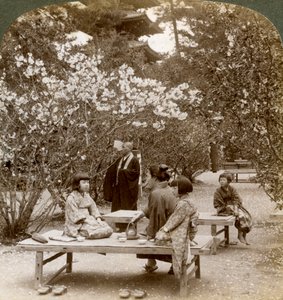 En familj som njuter av en picknick under körsbärsblommorna, Omuro Gosho, Kyoto, Japan, 1904. av Underwood and Underwood