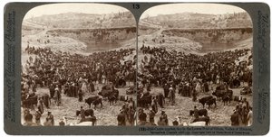 Boskapsmarknadsdag, i Gihons nedre bassäng, Hinnomdalen, Jerusalem, Palestina, 1900. av Underwood and Underwood