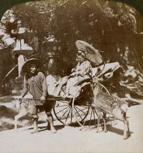 Flicka som matar heliga rådjur på väg till böner, området vid Kasuga-templet, Nara, Japan, 1904 av Underwood and Underwood