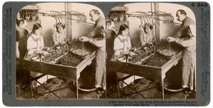 Tillverkar siden, Syrien, 1900-tal. av Underwood and Underwood