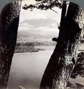 Mount Fuji, sett från nordväst, genom tallar vid sjön Motosu, Japan, 1904 av Underwood and Underwood