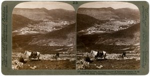Sikem, sydväst från berget Ebal, Palestina, 1900-talet. av Underwood and Underwood