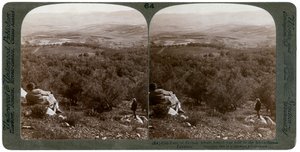 Dothanslätten, Palestina, 1900. av Underwood and Underwood