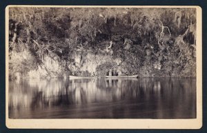 [Under klipporna vid Withlacoochee-floden, Florida]