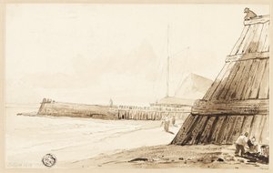 Stockade längs stranden av Unknown