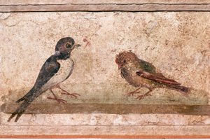 Svala och sparv, romersk väggmålning från Boscoreale nära Pompeji, 1:a århundradet av Unknown