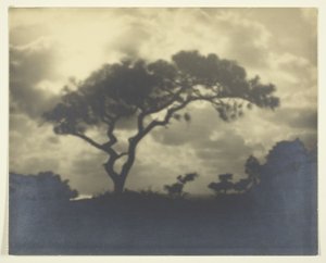 Namnlös (molnigt landskap med träd) av Unknown