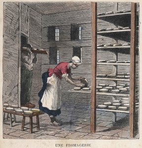 En ostfabrik. 1800-talsillustration. Bianchetti samling. av Unknown artist