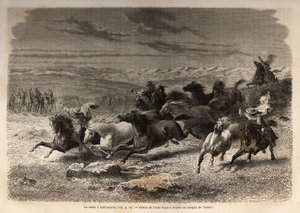 En rodeo i Lauramarca (Nedre Peru), fångst av vilda hästar, innan deras järnmärkning med initialerna för ägaren av regionen, betraktad som ett komplett skådespel, samlades många badauds. Gravyr för att illustrera resan i Quinquins dalar av Unknown artist