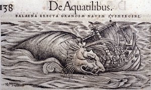 En val förstör en båts skrov och gör att den sjunker. Gravyr i Historia Animalium av Conrad Gesner (1516 - 1565), Tiguri av Unknown artist