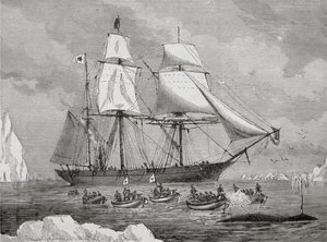 En valfångare med båt snabbt till en "fisk" (med pistolharpunen) av Unknown artist