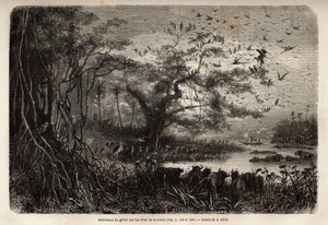 Överflöd av vilt på stranden av Zambese. Gravyr för att illustrera Dr. Livingstones första resor till södra Afrika från 1840 till 1856, i "Le tour du monde, nouveau journal des voyages"" publicerad under ledning av Edouard Charton av Unknown artist