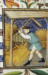 Allegorisk framställning av augusti. En bonde som slår vete. Miniatyr av ett 1300-talsmanuskript. av Unknown artist