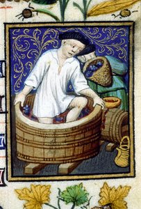 Allegorisk framställning av september. Skörd, druvstrippning. Miniatyr av ett 1300-talsmanuskript. av Unknown artist