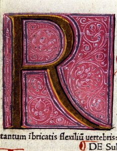 Alfabet: miniatyrbokstaven R av Unknown artist
