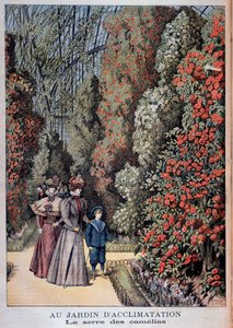 I acklimatiseringsträdgården: kameliaväxthuset - i "" Le Petite Journal"" av Unknown artist