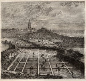 Batz sur Mer, Bretagne, Frankrike - Salttillverkning. Vy över en saltmark i västra Frankrike - gravyr i 